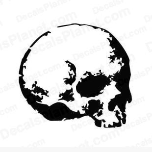 Skull listed in cartoons decals.