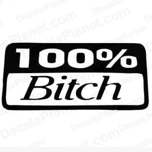 100% Bitch listed in funny decals.