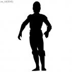 Star Wars C3-PO