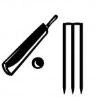 Cricket bat with ball and stump