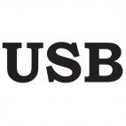 USB custom logo (akai font)
