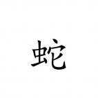 Snake Chinese Zodiac Sign 1