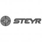 Steyr (Steyr Mannlicher) full logo